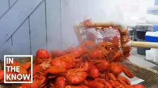 Old-school seafood shack in Maine steams 1,000 pounds of lobster daily