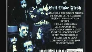 Cradle of Filth - The Principle of Evil Made Flesh (1993)