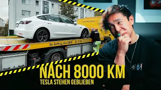 Tesla auf der Autobahn stehen geblieben! | Meine Erfahrung