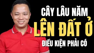 Đất trồng cây lâu năm trên sổ đã có đất ở muốn lên thêm thổ cư phải làm sao I Phạm Văn Nam