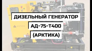 Дизельный генератор АД-75-Т400 (АРКТИКА)