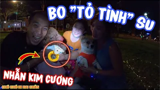 NGÀY 24: TIN VUI - SU XÍ XỌN ĐƯỢC BO BÉO BỞ TỎ TÌNH | CHÚ CHÓ ĐI HAI CHÂN