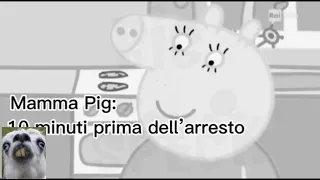 Peppa Pig - Mare Fuori - PARODIA