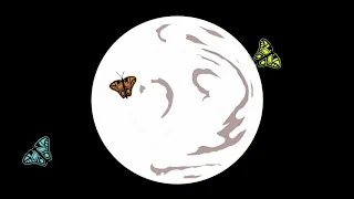 The Grief Butterfly
