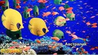 Буйство красок || PHOTO LAND (красивая природа, красивые пейзажи природы)