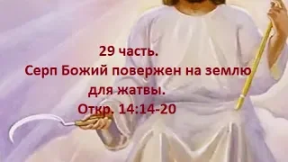 29 часть. Серп Божий повержен на землю для жатвы.  Откр. 14:14-20 (Для глухих)