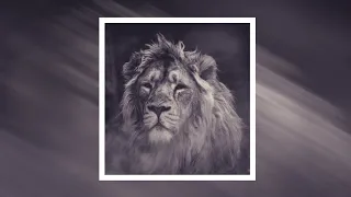 PNL - Lion Instrumental