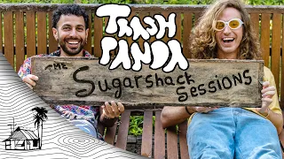 Trash Panda - Made of Love (Live Music) | Sugarshack Sessions