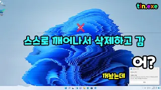 tin.exe 윈도 11 MBR 복구&윈도 디펜더 방어력  [초다]