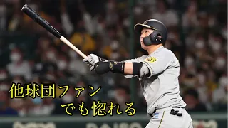 【阪神】大山悠輔 超厳選 確信ホームラン集