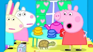 Peppa Pig is Looking for Dr Hamster’s Missing Tortoise