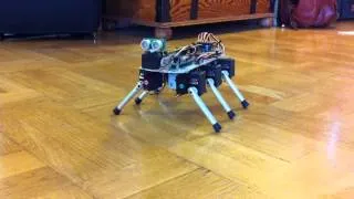 Robots behaving like animals: Six-legged robot Stampe 6 shaking like a dog :-)