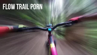 Seattle 2018: Olallie Descent: 8 Minutes of Flow Trail Porn (4k) - Mountain Biking