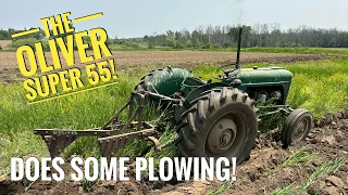 The Oliver Super 55 & 3240 Do Some Plowing! 1 Coulter Goes South, But That Doesn't Stop Me!