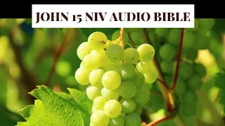 John 15 NIV AUDIO BIBLE(with text)
