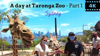 【4K】 Largest Zoo in Australia | Taronga Zoo Sydney 2022 Part 1 #travelaustralia #walkingtour #sydney
