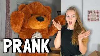 ŽIVÝ OBROVSKÝ MEDVĚD 😱 PRANK NA KÁJU 🤩😂