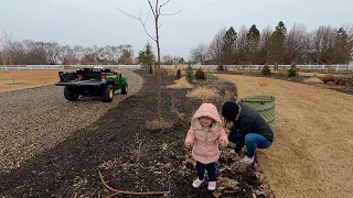 Spring Flower Bed Clean-Out in the Rain! 🌿✂️💦 // Garden Answer