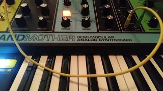 Moog grandmother