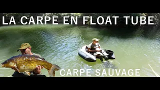 carpe en STALKING sur une riviere sauvage en FLOAT TUBE (SPEEDFISHING)