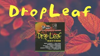 DROP LEAF RIDDIM MIX