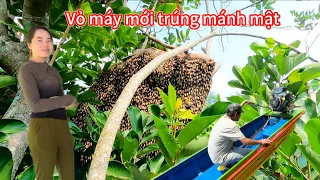 #1143. KHAI TRƯƠNG Vỏ Máy Mới Trúng Mánh Mật Ong. OPENING New Honey Trick Case