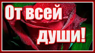 Самые красивые розы для тебя! И нежная мелодия Павла Ружицкого!