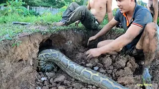 Close-Up of 2 Hunters Being Attacked By A Giant Python And Dragged Into A Cave