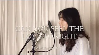 DISNEY The Lion King - Can you feel the love tonight (Lullaby ver.)(cover by Monkljae)