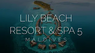 Кормлю акул в отеле Lily Beach Resort & Spas 5, детальный обзор после карантина, Мальдивы 2020