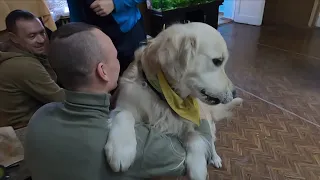 'I Need Him': Dogs Help Ukrainian Ex-Soldiers Cope With PTSD