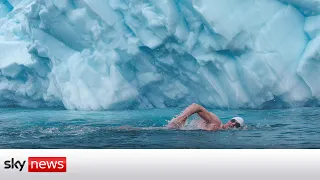 Ice swimmer Lewis Pugh's stark climate warning: without polar ice, there is no life on earth