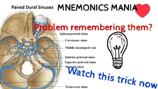 PAIRED DURAL VENOUS SINUSES||Self made mnemonics