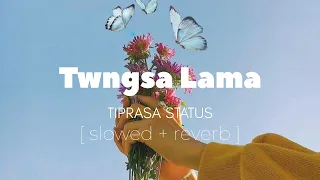 Twngsa Lama || Slowed + Reverb || new Kokborok Song ||