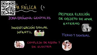 Etapas psicosexuales según Freud   YouTube