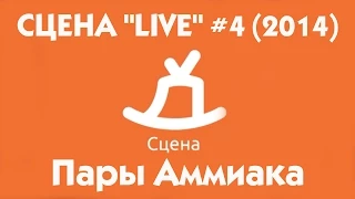 СЦЕНА "LIVE" #4 (2014) гость группа "Пары Аммиака" ( г. Нижний Новгород )