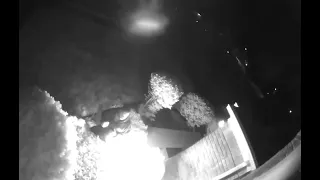 VIDEO: DPD searching for two men who threw Molotov cocktail at home on city's west side