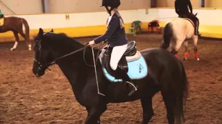 horse-club BITSA (КСК "БИТЦА")