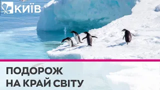 Антарктида: цікаві факти про найхолодніший материк Землі