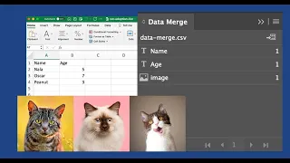How to Use Adobe InDesign's Data Merge for Text and Image Automation