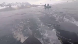 Антарктида. Атака морского леопарда.