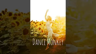 Tones & I - Dance Monkey 1 hour loop