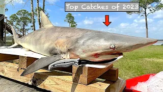 TOP 5 Fishing Moments of 2023!... [Big, Toothy Creatures]