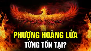 Phượng Hoàng Lửa Từng Tồn Tại? Loài Chim Thần Thoại Báo Hiệu Sự Hủy Diệt Và Hồi Sinh