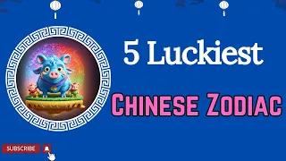 5 Luckiest Chinese Animal Zodiac Signs in MAY 2024 💫 , By Chinese Horoscope