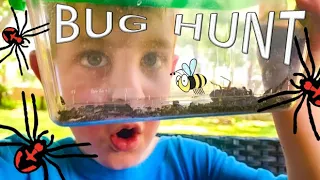 BUG HUNT for REAL Bugs! BUMBLEBEE, Spiders, Roly Polys, EARWIGS, Cockroach, WORMS & MORE for KIDS!!