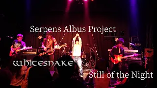 【Whitesnake - Still of the Night】Serpens Albus Project from Nagoya 4K