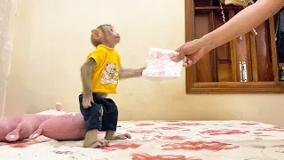 Super Monkey! YuYu asks Mom to change diapers before sleeping!