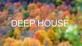 Deep House Mix 2022 Vol.16 | Best Of Tropical House Music | Mixed By NFD