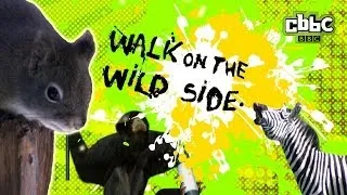 CBBC: Walk on The Wild Side - Freddie the Furping Squirrel